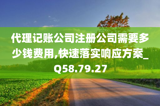 代理记账公司注册公司需要多少钱费用,快速落实响应方案_Q58.79.27