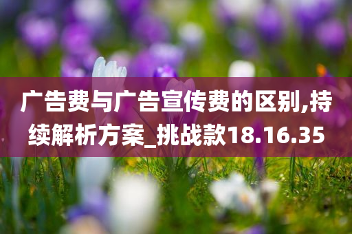 广告费与广告宣传费的区别,持续解析方案_挑战款18.16.35