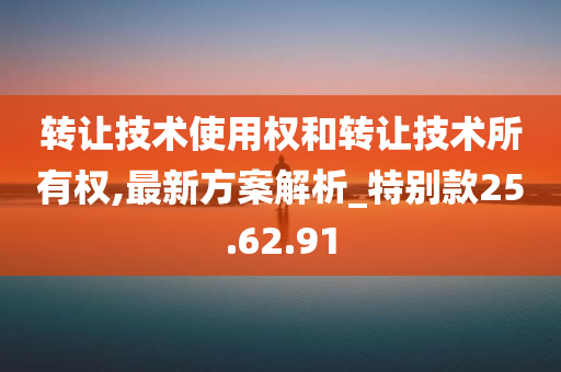 转让技术使用权和转让技术所有权,最新方案解析_特别款25.62.91