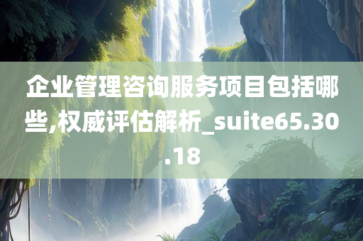 企业管理咨询服务项目包括哪些,权威评估解析_suite65.30.18