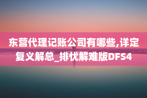 东营代理记账公司有哪些,详定复义解总_排忧解难版DFS4