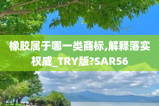 橡胶属于哪一类商标,解释落实权威_TRY版?SAR56