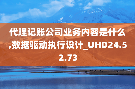 代理记账公司业务内容是什么,数据驱动执行设计_UHD24.52.73