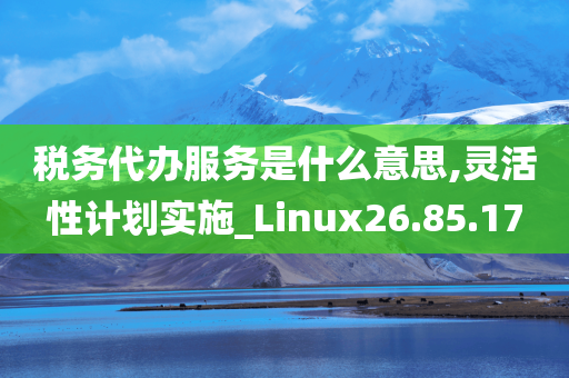 税务代办服务是什么意思,灵活性计划实施_Linux26.85.17