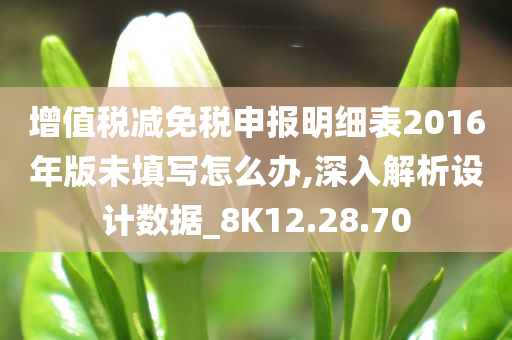 增值税减免税申报明细表2016年版未填写怎么办,深入解析设计数据_8K12.28.70