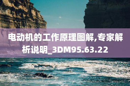 电动机的工作原理图解,专家解析说明_3DM95.63.22