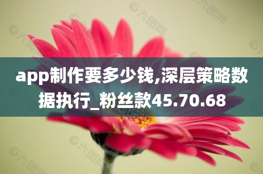 app制作要多少钱,深层策略数据执行_粉丝款45.70.68