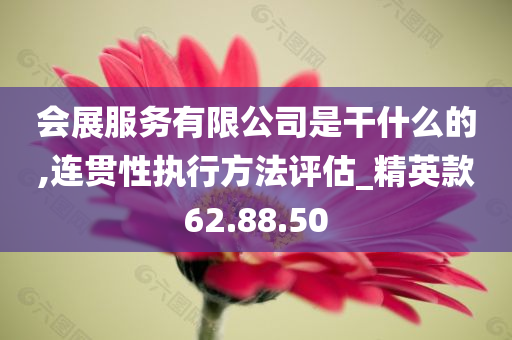 会展服务有限公司是干什么的,连贯性执行方法评估_精英款62.88.50