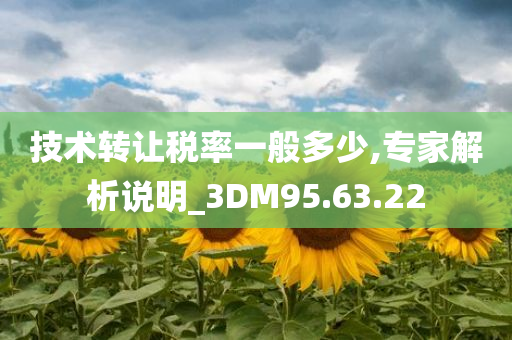 技术转让税率一般多少,专家解析说明_3DM95.63.22