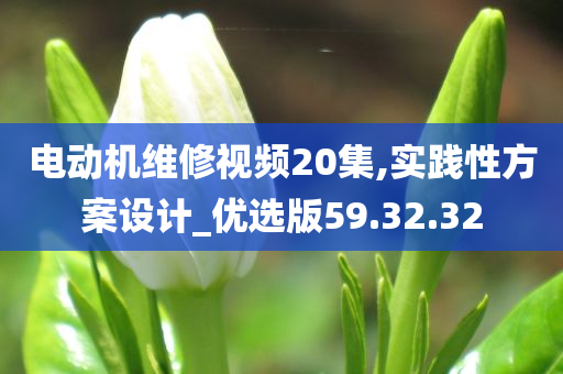 电动机维修视频20集,实践性方案设计_优选版59.32.32