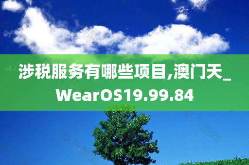 涉税服务有哪些项目,澳门天_WearOS19.99.84