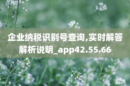 企业纳税识别号查询,实时解答解析说明_app42.55.66