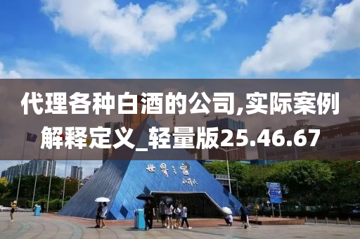 代理各种白酒的公司,实际案例解释定义_轻量版25.46.67