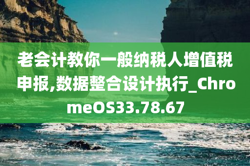 老会计教你一般纳税人增值税申报,数据整合设计执行_ChromeOS33.78.67