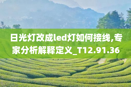 日光灯改成led灯如何接线,专家分析解释定义_T12.91.36