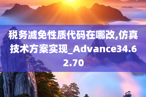 税务减免性质代码在哪改,仿真技术方案实现_Advance34.62.70