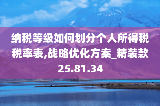 纳税等级如何划分个人所得税税率表,战略优化方案_精装款25.81.34