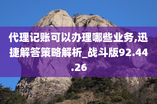 代理记账可以办理哪些业务,迅捷解答策略解析_战斗版92.44.26