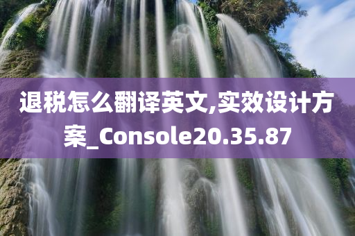 退税怎么翻译英文,实效设计方案_Console20.35.87