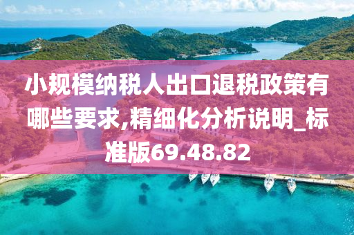 小规模纳税人出口退税政策有哪些要求,精细化分析说明_标准版69.48.82