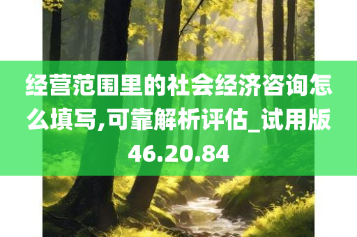 经营范围里的社会经济咨询怎么填写,可靠解析评估_试用版46.20.84