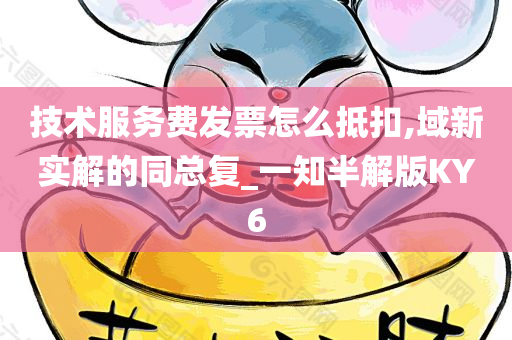 技术服务费发票怎么抵扣,域新实解的同总复_一知半解版KY6