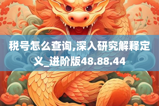 税号怎么查询,深入研究解释定义_进阶版48.88.44