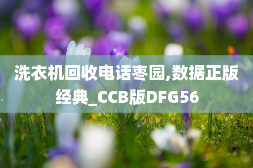 洗衣机回收电话枣园,数据正版经典_CCB版DFG56