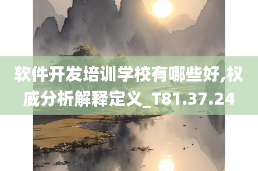 软件开发培训学校有哪些好,权威分析解释定义_T81.37.24