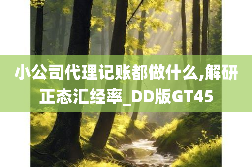 小公司代理记账都做什么,解研正态汇经率_DD版GT45