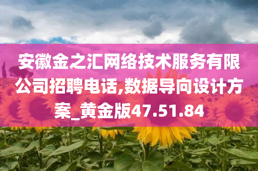 安徽金之汇网络技术服务有限公司招聘电话,数据导向设计方案_黄金版47.51.84