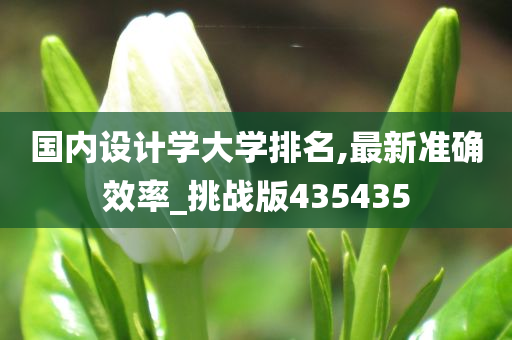 国内设计学大学排名,最新准确效率_挑战版435435