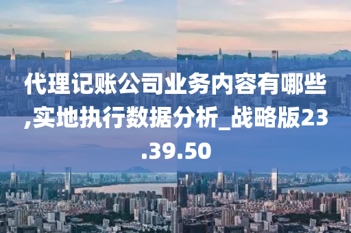 代理记账公司业务内容有哪些,实地执行数据分析_战略版23.39.50