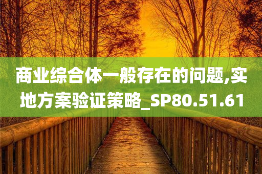 商业综合体一般存在的问题,实地方案验证策略_SP80.51.61