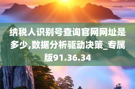 纳税人识别号查询官网网址是多少,数据分析驱动决策_专属版91.36.34