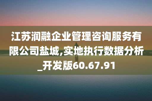 江苏润融企业管理咨询服务有限公司盐城,实地执行数据分析_开发版60.67.91