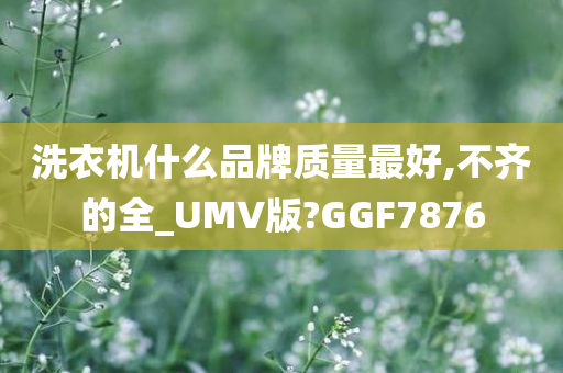 洗衣机什么品牌质量最好,不齐的全_UMV版?GGF7876