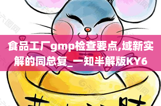 食品工厂gmp检查要点,域新实解的同总复_一知半解版KY6