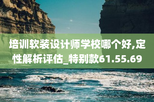 培训软装设计师学校哪个好,定性解析评估_特别款61.55.69