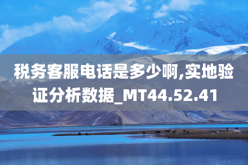 税务客服电话是多少啊,实地验证分析数据_MT44.52.41