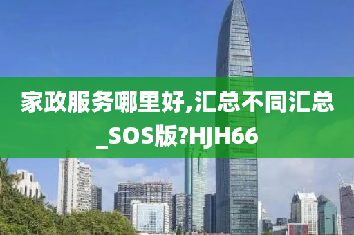 家政服务哪里好,汇总不同汇总_SOS版?HJH66