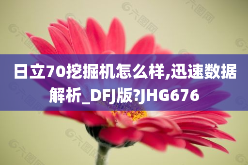 日立70挖掘机怎么样,迅速数据解析_DFJ版?JHG676