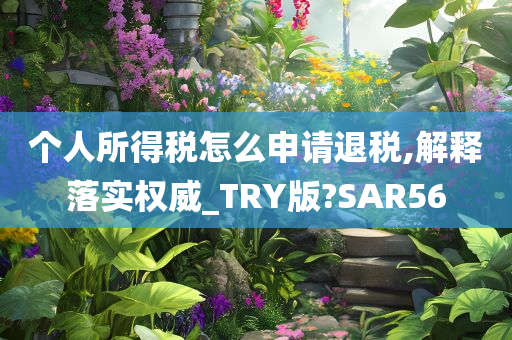 个人所得税怎么申请退税,解释落实权威_TRY版?SAR56