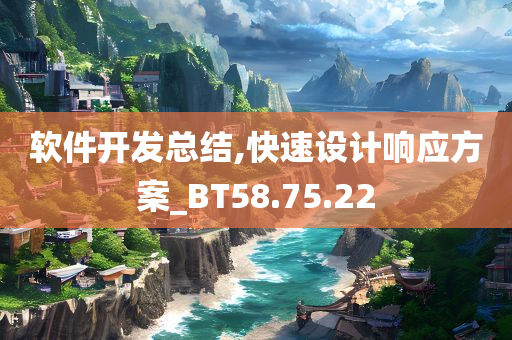 软件开发总结,快速设计响应方案_BT58.75.22