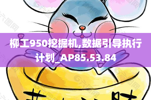 柳工950挖掘机,数据引导执行计划_AP85.53.84