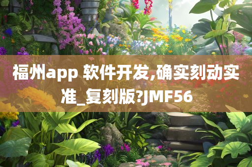 福州app 软件开发,确实刻动实准_复刻版?JMF56