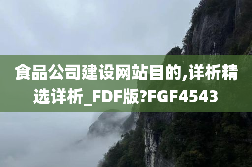 食品公司建设网站目的,详析精选详析_FDF版?FGF4543