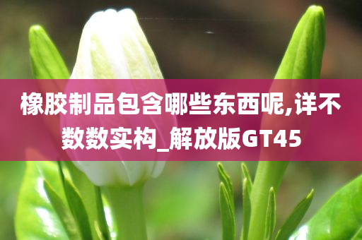 橡胶制品包含哪些东西呢,详不数数实构_解放版GT45