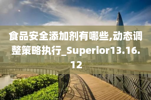 食品安全添加剂有哪些,动态调整策略执行_Superior13.16.12