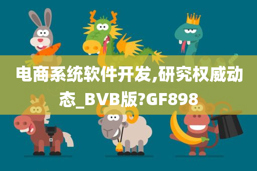 电商系统软件开发,研究权威动态_BVB版?GF898